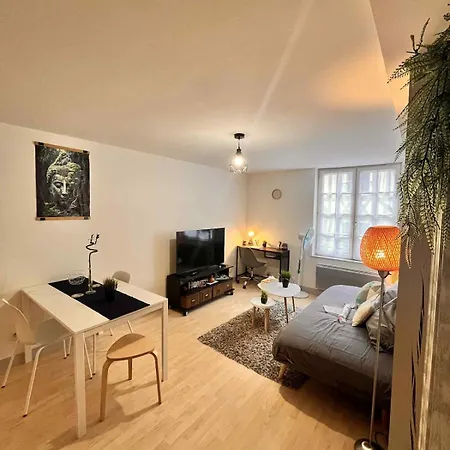 Cocon Zen En Plein Coeur Historique De Apartment