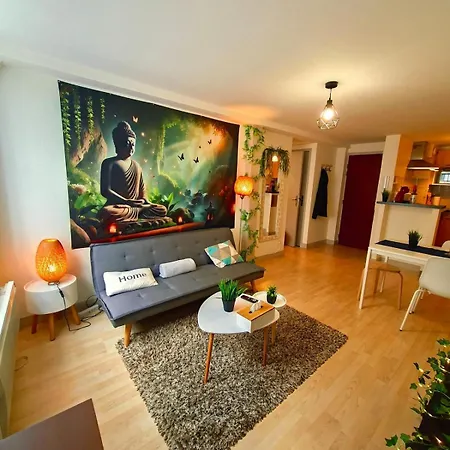 Apartment Cocon Zen En Plein Coeur Historique De