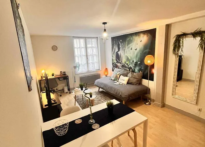 Cocon Zen En Plein Coeur Historique De Apartmán *