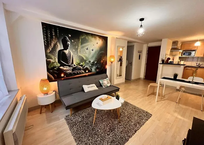 Cocon Zen En Plein Coeur Historique De