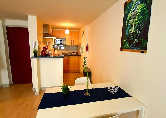 Cocon Zen En Plein Coeur Historique De Rouen