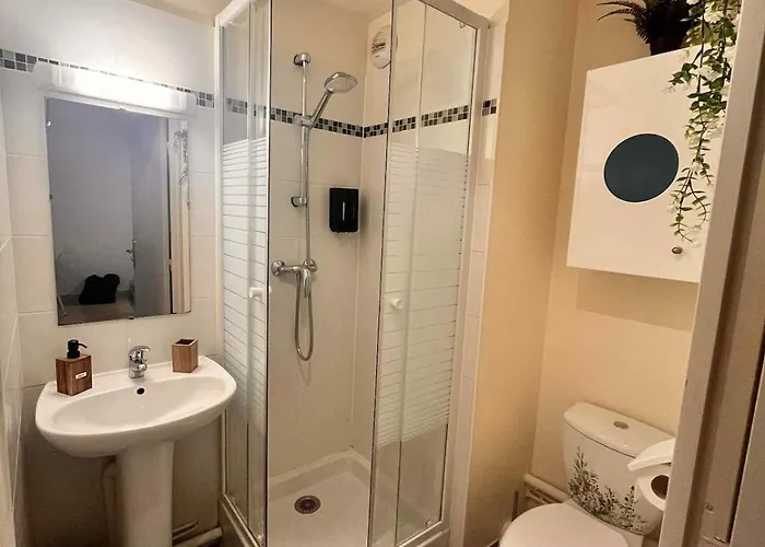 Cocon Zen En Plein Coeur Historique De Rouen